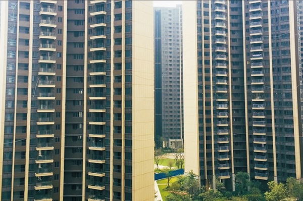 圖片關(guān)鍵詞 單片防火玻璃